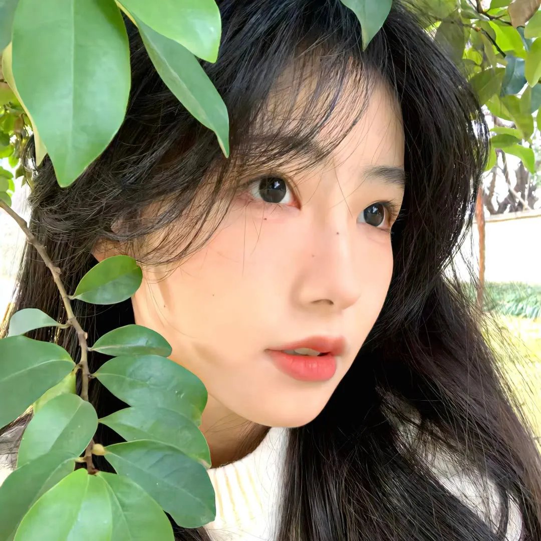 圣草之爱
